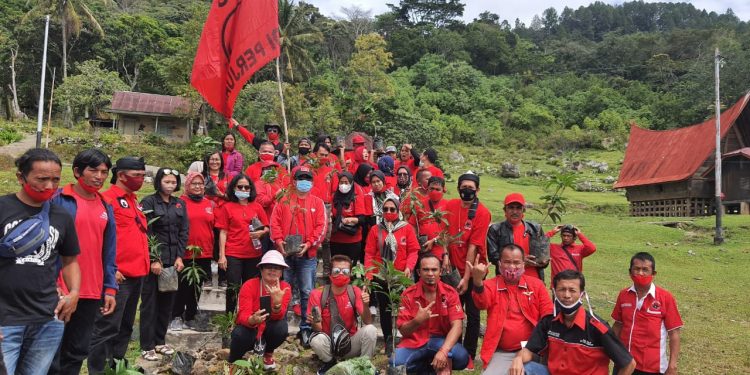 Hari Ulang Tahun Megawati ” PDIP Simalungun Tanam Seribu Pohon