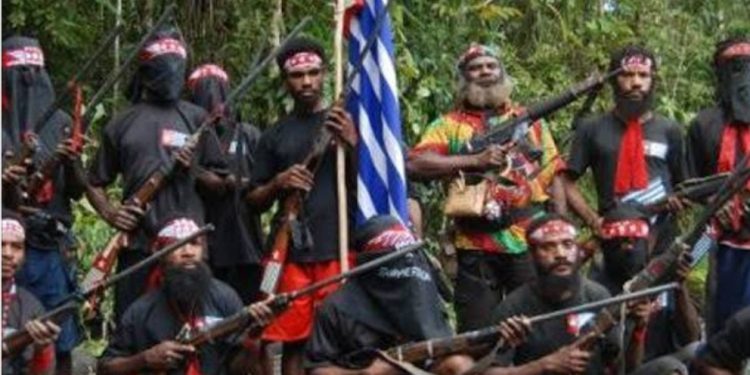 Brutalnya KKB Kembali Membantai Satu Warga Sipil di Intan Jaya