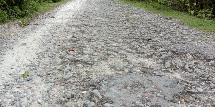Siapkan Fisik Dan Mental Anda Ketika Melewati Jalan Dimangoli Barat PASTI Bikin Badan Meriang