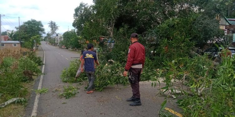 Bhabinkamtibmas Polsek Bengo Polres Bone bekerjasama dengan warganya untuk memangkas pohon yang berpotensi menimbulkan bahaya bagi masyarakat.