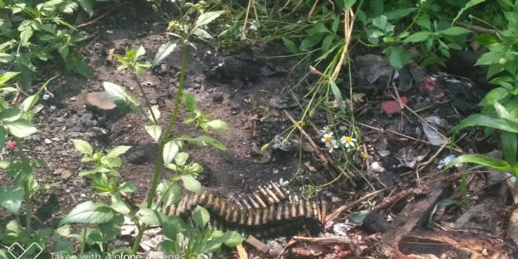 Kabid Humas Polda Jabar : Penemuan Granat Aktif dan Selongsong Peluru Gegerkan warga Rancaekek