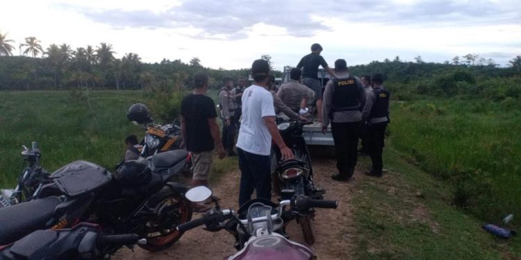 Petugas Kembali Mengrebek Arena Sabung Ayam