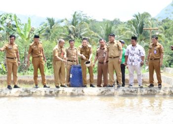 Terkendala Pemasaran Ikan Hasil Panen, Wabub Lampura Ardian Akan Berupaya Datangkan Pengusaha Dari Luar Daerah