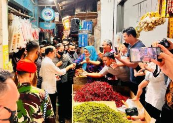 Anjangkarya ke Lampung, Presiden akan Tinjau Pasar dan Sejumlah Ruas Jalan