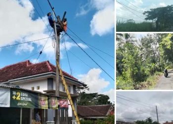 Kegiatan Team Layanan PLN Di Daerah Prekul, Warga Belum Puas