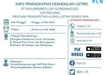 Calon Petahanan Bertumbangan Di PILKADES Serentak 2023