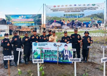 Kodim Brebes Bersama Senkom Adakan Restorasi Mangrove Di Pesisir Pantai Randusanga