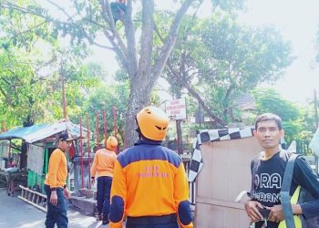 Senkom Rescuer Membantu Warga Menebang Pohon Untuk Pembuangan Saluran Limbah