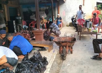 Antusiasme Warga Lampung Utara Saat Pemotongan Hewan Kurban
