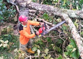 Senkom Rescue Karanganyar Sigap Membantu Warga Yang Rumahnya Ketimpa Pohon