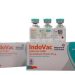 BPOM Resmi Terbitkan NIE Vaksin IndoVac Bio Farma
