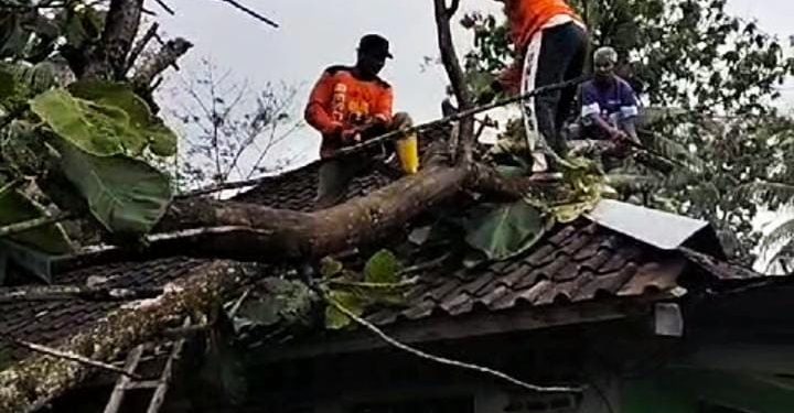 Tim Pemenangan Capres Prabowo Lakukan Giat Kampanye dan Jalan Sehat
