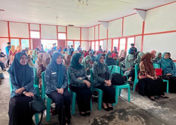 Panglima TNI Dampingi Presiden RI Resmikan RSPPN