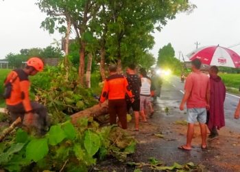 Sejumlah Relawan Bersinergi Kompak Membersihkan Ranting Pohon Tumbang