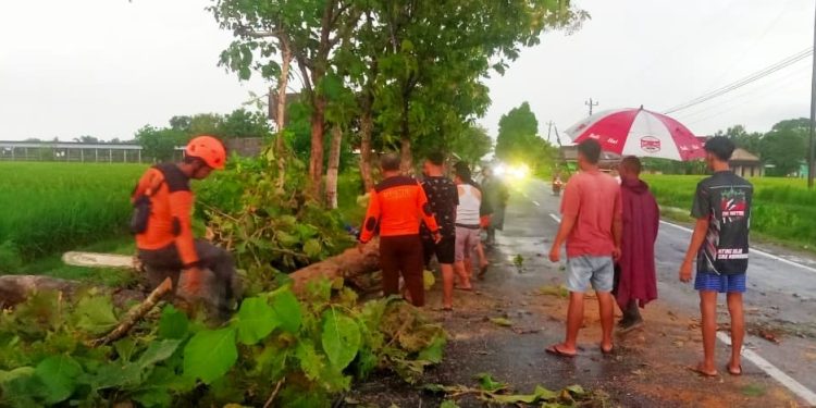 Sejumlah Relawan Bersinergi Kompak Membersihkan Ranting Pohon Tumbang