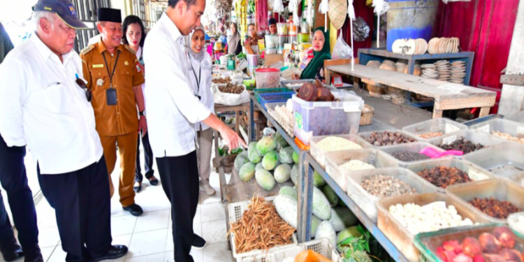 Presiden Jokowi Cek Harga dan Stok Bahan Pokok di Pasar Kawat Tanjungbalai