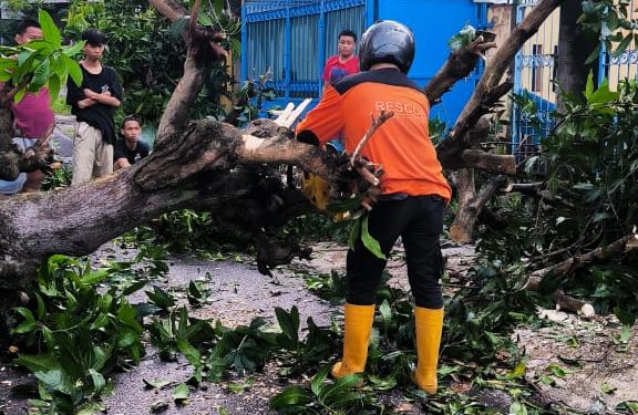 Sebanyak 32 Pohon Tumbang di Solo Akibat Hujan Deras Disertai Angin