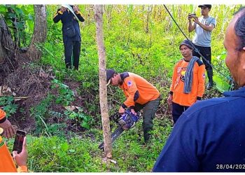 Senkom Jumapolo Menggelar Kegiatan Peningkatan Kapasitas Cara Mengunakan Chainsaw Yang Baik Dan Benar