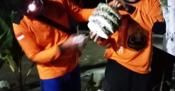 Tanggap cepat merespon aduan warga Senkom Jatiyoso Evakuasi Sarang Tawon