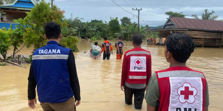 Bencana Banjir dan Longsor di Sulsel, PMI Turunkan Bantuan Hingga Relawan Bantu Evakuasi Warga