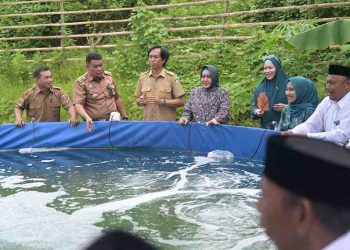 Ketua TP PKK Kota Makassar Tebar Benih Udang Vaname di Tanjung Merdeka