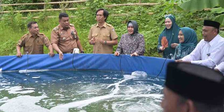 Ketua TP PKK Kota Makassar Tebar Benih Udang Vaname di Tanjung Merdeka