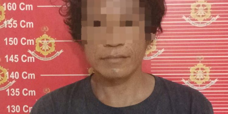 Diduga Curi HP, Pria ini Diamankan Polisi