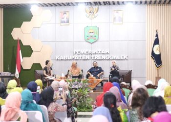 Pj. Ketua TP PKK Kabupaten Subang Hadir dan Ikuti Talk Show Women Program Digitalisasi Program PKK