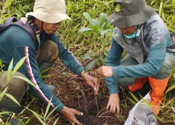 BKSDA Jatim Sebut Pemulihan Ekosistem di Cagar Alam Gunung Picis dan Sigogor Madiun Berhasil