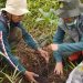 BKSDA Jatim Sebut Pemulihan Ekosistem di Cagar Alam Gunung Picis dan Sigogor Madiun Berhasil