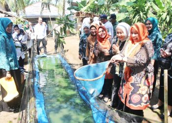 Cegah Stunting, Pemkab Cirebon Geber Pelaksanaan Intervensi Serentak
