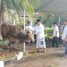 Silaturahmi bersama Masyarakat, Pj Bupati Bantaeng Gelar Open House di Rumah Jabatan.