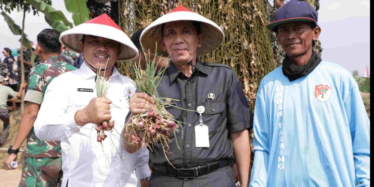 Pemkab Bekasi Sambut Baik Panen Raya Bawang Merah di Urban Farming Korem 051/WKT Kodam Jaya