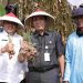 Pemkab Bekasi Sambut Baik Panen Raya Bawang Merah di Urban Farming Korem 051/WKT Kodam Jaya
