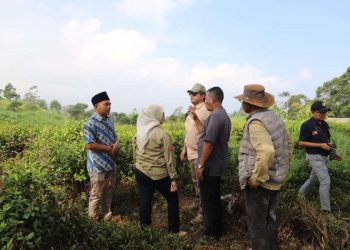 Monitoring Kawasan Pertanian Terpadu di Garut, Pemerintah Fokus pada Pemulihan Peternakan