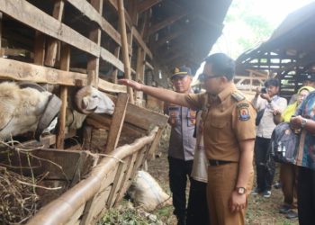 Pemkab Cirebon Pastikan Ketersediaan dan Kesehatan Hewan Kurban