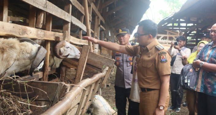 Pemkab Cirebon Pastikan Ketersediaan dan Kesehatan Hewan Kurban