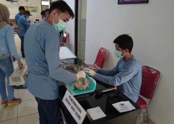 HJB ke-542, Masyarakat Antusias Nikmati Layanan Vaksinasi Hewan Gratis