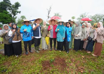 Gerakan Sulsel Menanam, Pemprov Sulsel Beri Bantuan Bibit Pohon ke Kab. Bantaeng