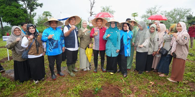 Gerakan Sulsel Menanam, Pemprov Sulsel Beri Bantuan Bibit Pohon ke Kab. Bantaeng