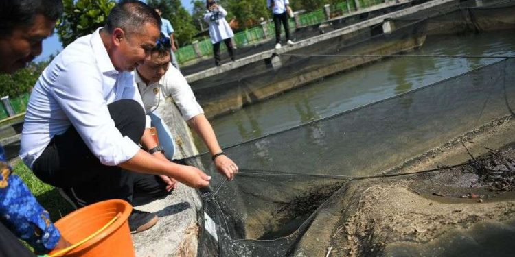 Bey Machmudin Dorong Satuan Pelaksana Konservasi Perairan Umum Daratan Wanayasa Dikembangkan Jadi BLUD