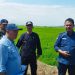 Antisipasi Kekeringan, Dirjen Tanaman Pangan Kementan RI Tinjau Lahan Sawah di Wilayah Selatan Garut