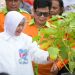 Indira Yusuf Ismail Apresiasi Perubahan Positif di Lorong Wisata Sydney