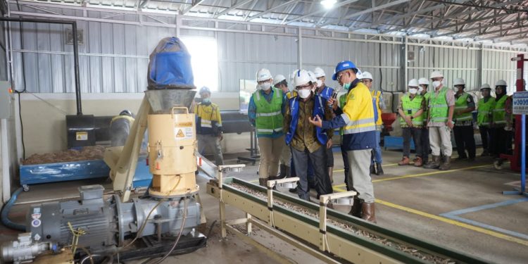 Kembangkan Biomassa dari Kaliandra Merah, Bukit Asam (PTBA) Bangun Pilot Plant Wood Pellet