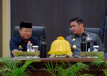 Demi Percepatan Pembangunan,Bupati Adnan Harap DPRD Segera Tetapkan RPJPD 2025-2045 Gowa