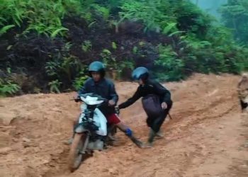 Perlu Perhatian Dari Pemerintah,Jalan Menuju Eks Marga Bukit Bulan Memprihatinkan