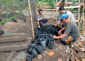 Bhabinkamtibmas Tanjung Enim Selatan Ajak Warga Kelola Pekarangan untuk Ketahanan Pangan