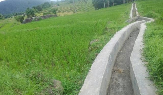 DPUTR Kab. Purwakarta Meningkatkan Jaringan Irigasi untuk mendukung program ketahanan Pangan