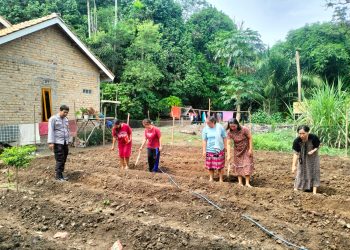 Bhabinkamtibmas Polsek Tanjung Agung Dorong Ketahanan Pangan di Desa Percontohan