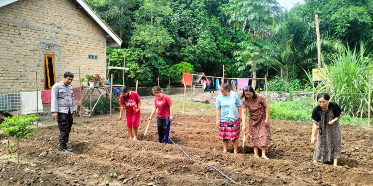 Bhabinkamtibmas Polsek Tanjung Agung Dorong Ketahanan Pangan di Desa Percontohan